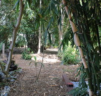 Rainforest Water Front River Shack Secluded. - Hervey Bay Accommodation