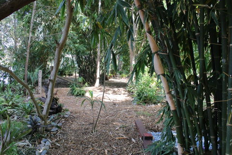 Rainforest, Water Front, River Shack, Secluded. - Hervey Bay Accommodation 0