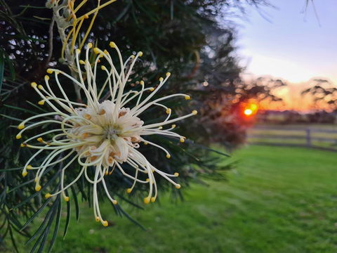 Redgate Forest Retreat - Tourism Hervey Bay 1