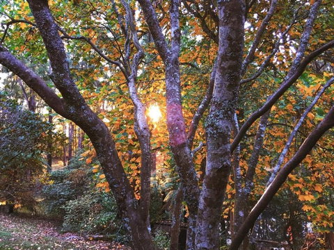 Rendezvous Nexus - Tourism Hervey Bay 3