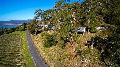 River Vineyard Retreat - Hervey Bay Accommodation 1