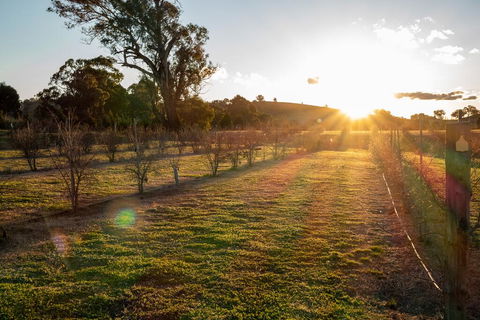 Riverview Farm & Guesthouse - Hervey Bay Accommodation 3