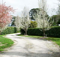 Robin Hill Manor - rambling retreat  tennis court - Tourism Hervey Bay
