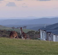 Rooks Edge - Hervey Bay Accommodation
