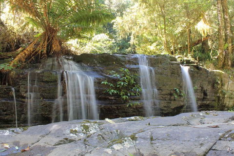 Salisbury Lodges - Hervey Bay Accommodation 1