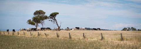 SALT - 37 Oceanview Drive - Hervey Bay Accommodation 2