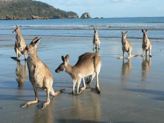 Kinchant Dam QLD Hervey Bay Accommodation