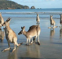 Seaforth Holiday Units - Hervey Bay Accommodation