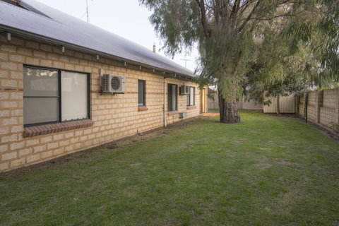 Seagull - Hervey Bay Accommodation 2