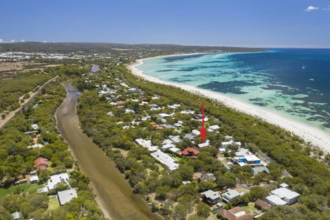 Seagull - Hervey Bay Accommodation 1