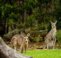 Secura Lifestyle Countryside Kalaru - Tourism Hervey Bay