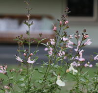 Serendipity on Allyn - Hervey Bay Accommodation