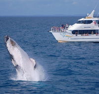 Shelly Beach Motel - Tourism Hervey Bay