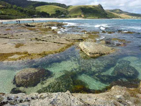 Skenes Creek Beachfront Caravan Park - Hervey Bay Accommodation 3