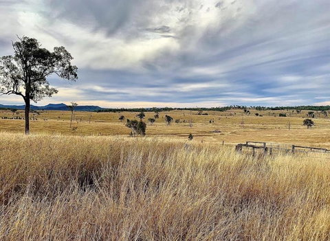 Skyline Farm House - Hervey Bay Accommodation 3