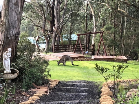 Southern Anchorage Retreat - Hervey Bay Accommodation 3