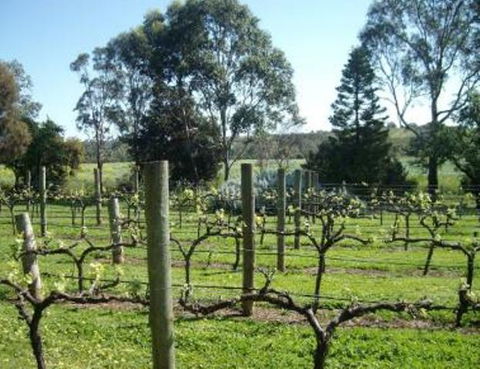 Southern Vales Bed & Breakfast - Hervey Bay Accommodation 1