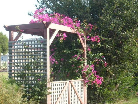 Southern Vales Bed & Breakfast - Hervey Bay Accommodation 3