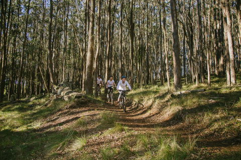Spicers Peak Lodge - Hervey Bay Accommodation 3