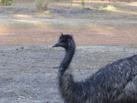 Splendid Wren Cottage - Hervey Bay Accommodation 2