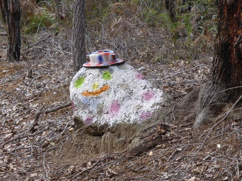 Splendid Wren Cottage - Hervey Bay Accommodation 3