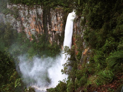 Springbrook Lyrebird Retreat - Hervey Bay Accommodation 2
