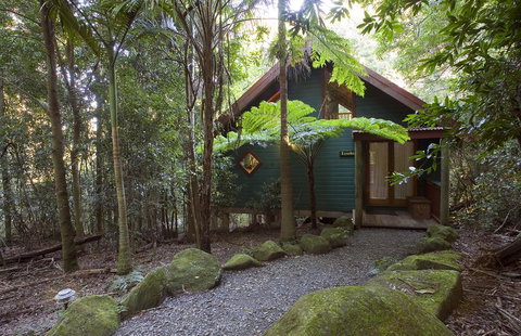 Springbrook Lyrebird Retreat - Hervey Bay Accommodation 1
