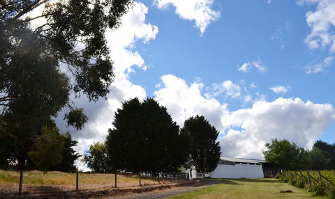 Springhill Winery - Hervey Bay Accommodation 2