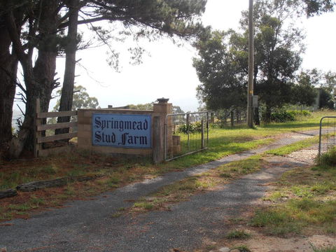 Springmead B&B - Hervey Bay Accommodation 2