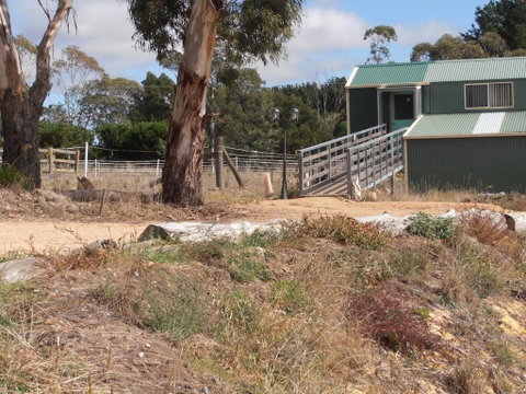Springmead Rustic Cabin - Hervey Bay Accommodation 1