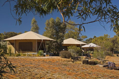 Squeakywindmill Boutique Tent B&B - Hervey Bay Accommodation 0