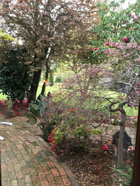 Stony Rise Cottage B&B - Tourism Hervey Bay 1