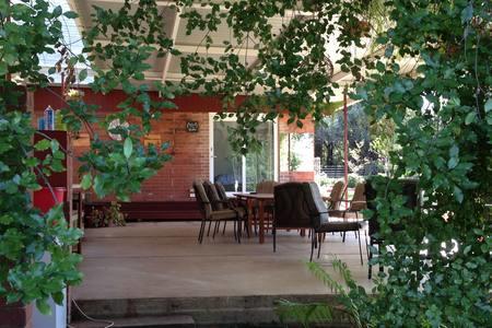 Sue's Sanctuary - Hervey Bay Accommodation 1