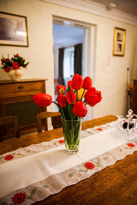 Sunnyside Cottage - Hervey Bay Accommodation 3