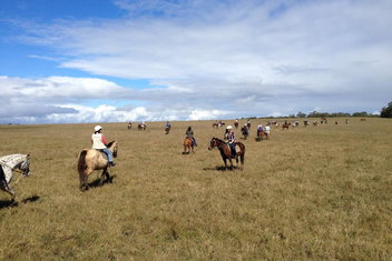 Susan River Homestead with Tourism Hervey Bay
