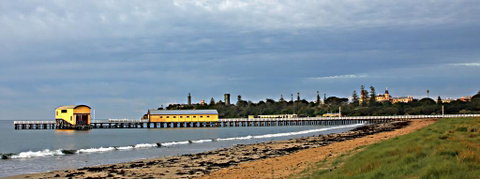 Swan-Sea - Hervey Bay Accommodation 1