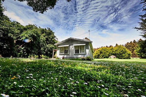 Tarkinegrove - Tourism Hervey Bay 0