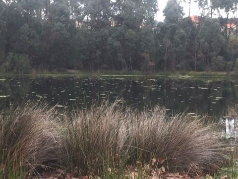 Telperon (2 Rooms, 3-4 Guests) - Hervey Bay Accommodation 2