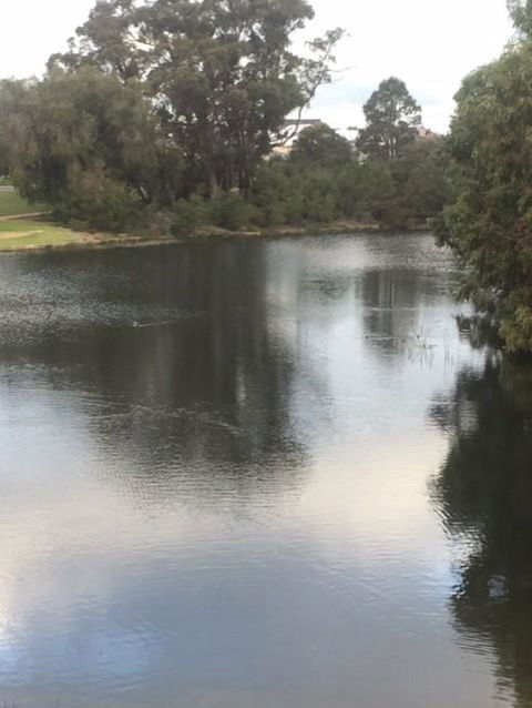 Telperon (2 Rooms, 3-4 Guests) - Hervey Bay Accommodation 3