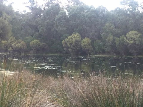 Telperon (2 Rooms, 3-4 Guests) - Hervey Bay Accommodation 1