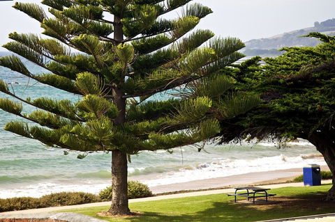Penguin Beachfront Apartments - Tourism Hervey Bay 9