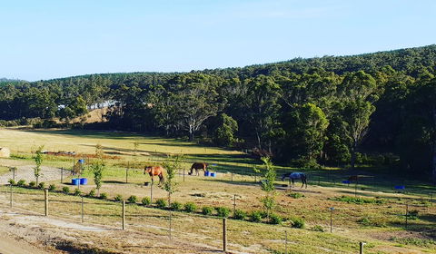 Lockleigh Park - Hervey Bay Accommodation 19