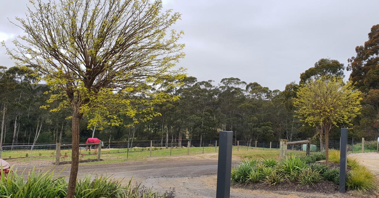Golconda TAS Hervey Bay Accommodation
