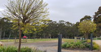 Book Lebrina Accommodation Vacations Tourism Hervey Bay Tourism Hervey Bay