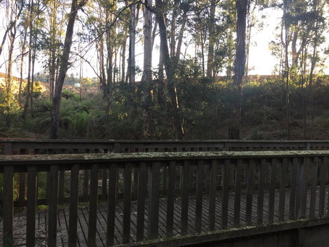 Harlea - Hervey Bay Accommodation 13