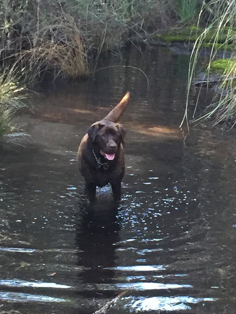 Harlea - Hervey Bay Accommodation 27