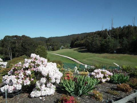 Harlea - Hervey Bay Accommodation 16