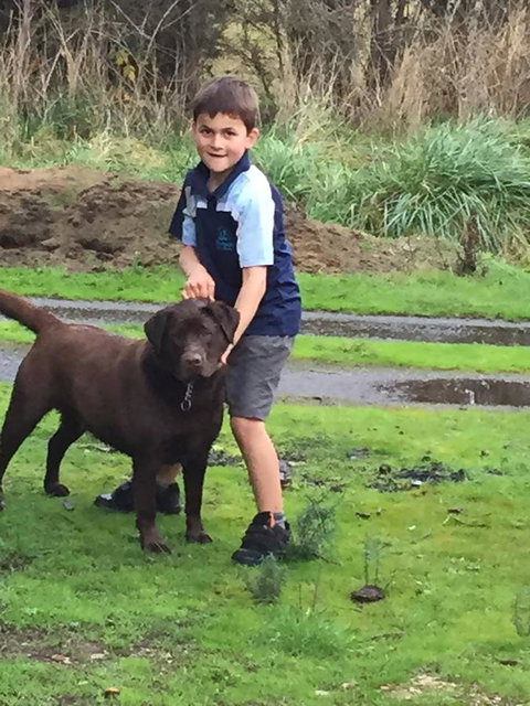 Harlea - Hervey Bay Accommodation 24