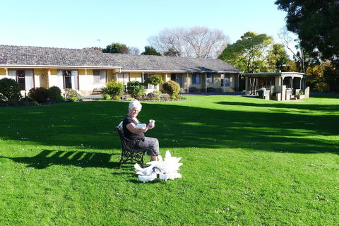 Willaway Motel Apartments - Tourism Hervey Bay 10