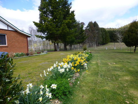 Quamby Pines Chalet - Hervey Bay Accommodation 19